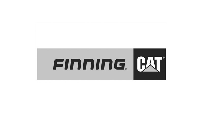 finning cat